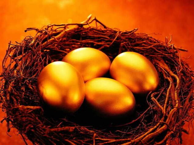 egg